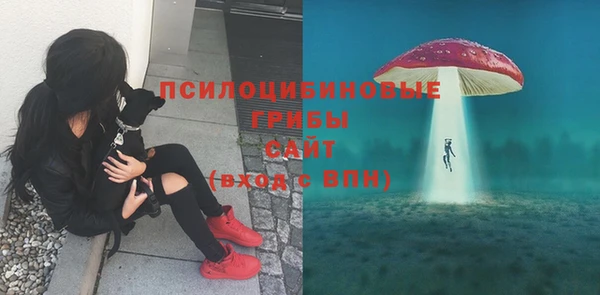 сатива Новочеркасск