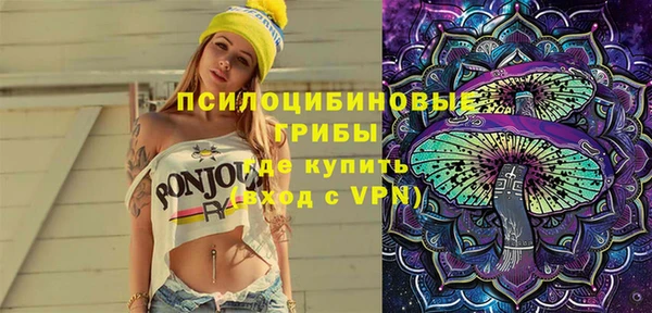 шишки Лихославль