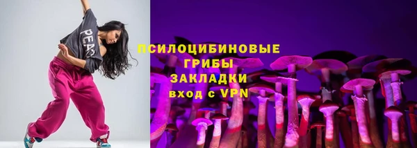 шишки Лихославль