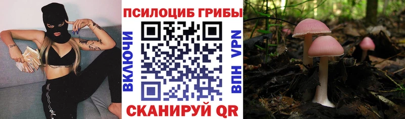 Псилоцибиновые грибы прущие грибы  Набережные Челны 