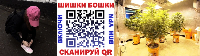 Бошки марихуана THC 21%  хочу наркоту  darknet наркотические препараты  Набережные Челны 