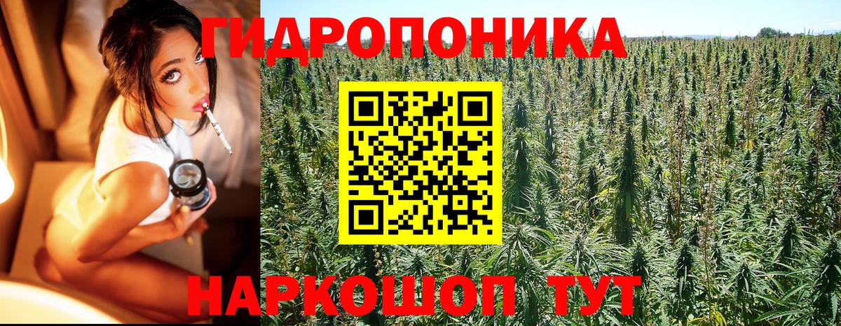 Шишки марихуана Amnesia Набережные Челны